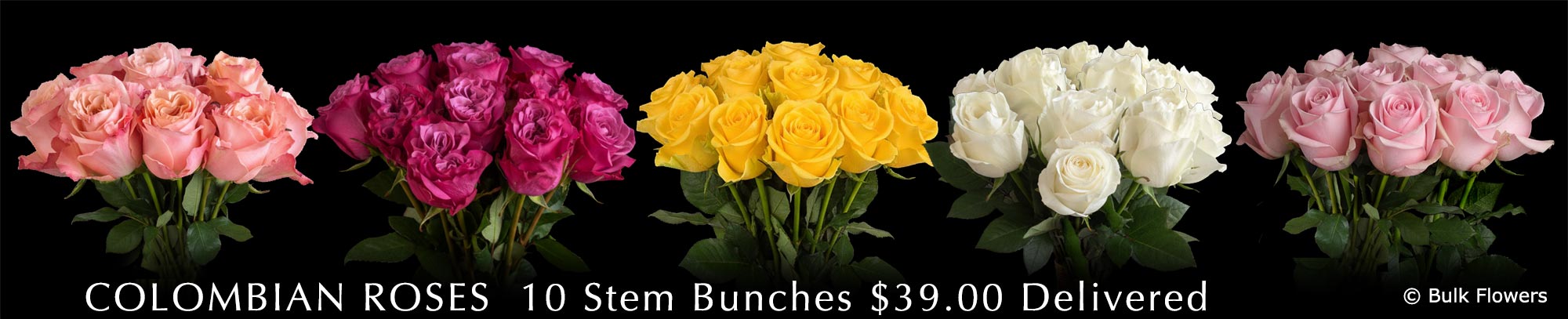 BULK FLOWERS COLOMBIAN ROSES